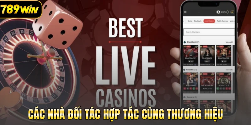 Các nhà đối tác hợp tác cùng thương hiệu