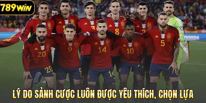 Lý do sảnh cược luôn được yêu thích, chọn lựa
